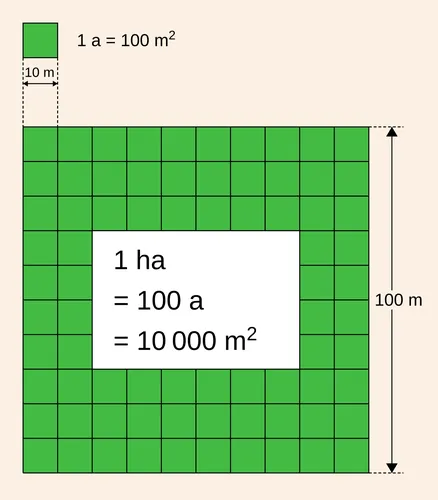 À combien de mètres carrés correspond un hectare ?