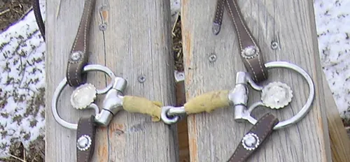 Quelle pièce de harnais se place dans la bouche d'un cheval pour le diriger ?