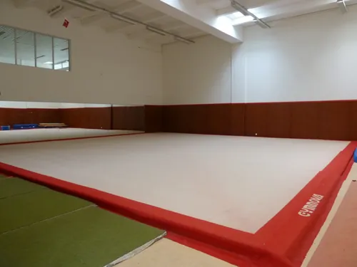 Quelle est la forme du praticable utilisé pour les épreuves de gymnastique au sol ?