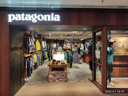 Dans quel secteur opère la marque Patagonia ?