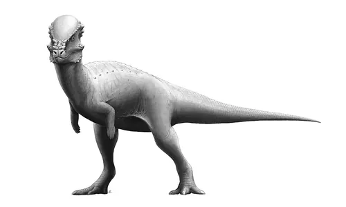 Quel dinosaure avait un crâne en dôme ?
