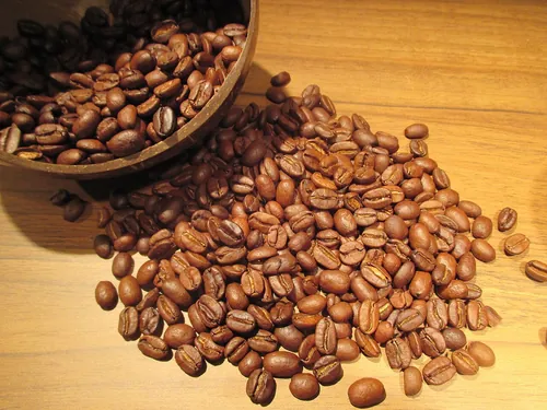 Quelle boisson peut être de type arabica ou robusta ?