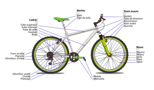Sur une bicyclette classique à chaîne, quelle roue est motrice ?