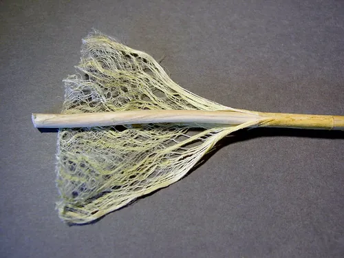 Quelle plante fournissait les cordages des grands voiliers ?
