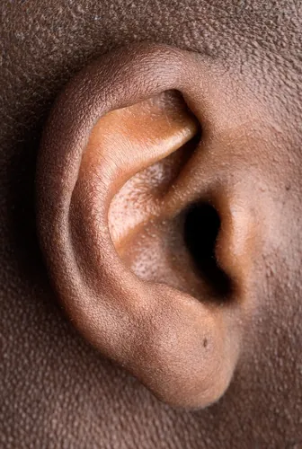 Quel mot d’argot désigne une oreille ?