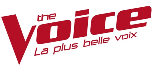 Dans les auditions de « The Voice », que fait un coach quand une voix lui plaît ?