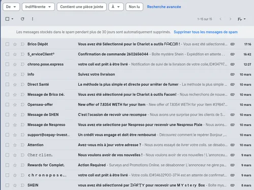 Quel mot français désigne le spam, ce courriel indésirable envoyé en masse ?